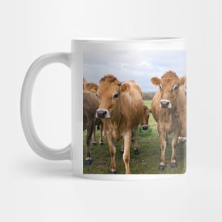 Curious Jersey Cows Mug